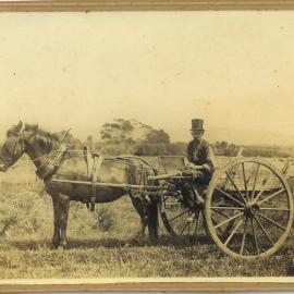 Pegleg Pinker - green grocer