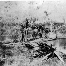 Harvesting flax along the Waiari River
