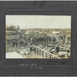 Te Puke sale yards