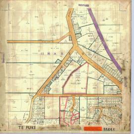 TOWN Te Puke Sh 1 Town Series record sheet LINZ SO55651