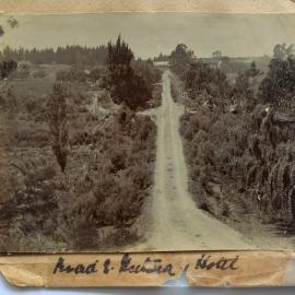 Driveway leading to Twickenham in Katikati