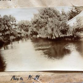 Uretara Stream at Katikati
