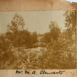 River bathing pool at Fincoul in Katikati