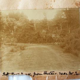 Katikati road from Uretara near the Buckworth's