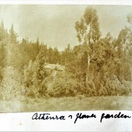 Garden at Athenree Homestead