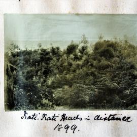 View through a wire fence of Athenree bush with Katikati Heads in the distance