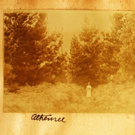 Euphemia Forbes Jones at Athenree