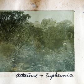 Euphemia Forbes Jones in Athenree