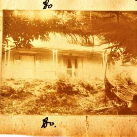Larkspur, Katikati