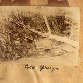 Cold Springs, Katikati