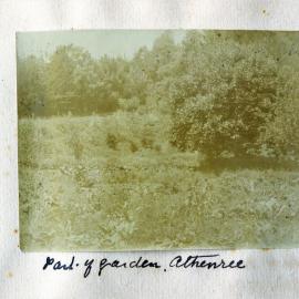 Part of the garden at Athenree