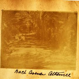 Back avenue to Athenree Homestead with two people seated on the driveway