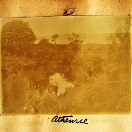 A lady on horseback along the Waiau River, Athenree