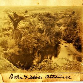 Athenree barn and the Waiau River