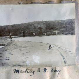 Boathouse Bay from Martray at Kauri Point near Katikati.