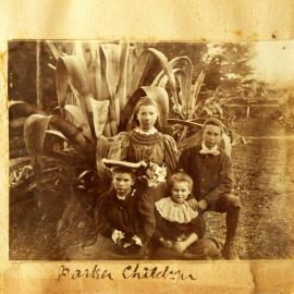 The Parker children at Katikati.