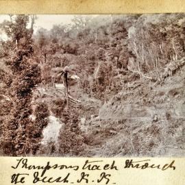 Thompson's Track through the bush