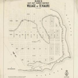 TOWN Te Kauri Point township plan drg 145 1881