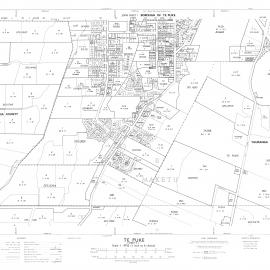 TOWN Te Puke and environs cadastral map NZMS189 Sh 2 of 2 1975