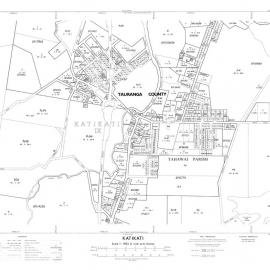 TOWN Katikati and environs cadastral map NZMS189 Sh 1 of 1 1971