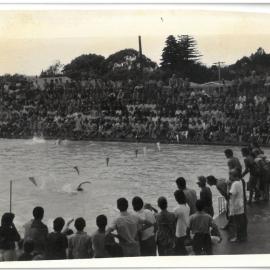 Race Day at Te Puke swimming pool