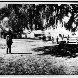 Te Puke Main Road 1905