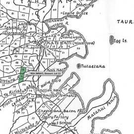 SETTLER REA (WRAY), Stewart. Lot 13 Tahawai Settlement