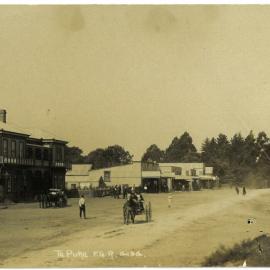Te Puke in the early days c1900