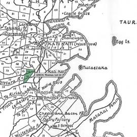 SETTLER LEECH, Thomas. Lot 14 Tahawai Settlement