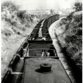 The first cattle train out of Te Puke