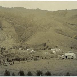 Williams Quarry, Te Puke