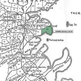 SETTLER DUNNE, Thomas J. Lot 20 Tahawai Settlement