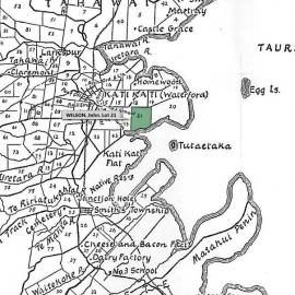 SETTLER WILSON, John. Lot 21 Tahawai Settlement