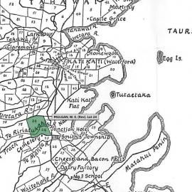 SETTLER MULGAN, W. E. (Rev). Lot 24 Te Mania Settlement