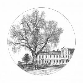 The Old Post Office, Tauranga