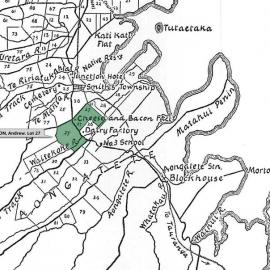 SETTLER WILSON, Andrew. Lot 27 Te Mania Settlement