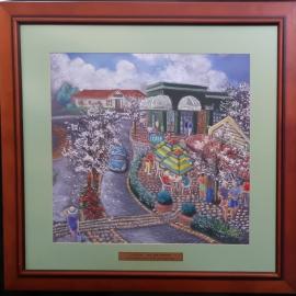 Katikati : the new picture