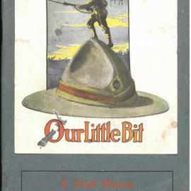 Our Little Bit : a brief history of the New Zealand Division