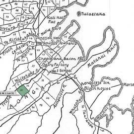 SETTLER ANDREWS, W. J. Lot 31 Te Mania Settlement