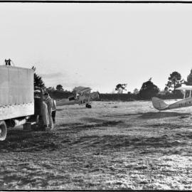 Top dressing Tiger Moths at Katikati