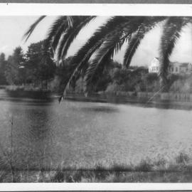 A river scene along the Uretara.