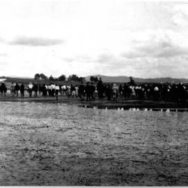The Southern Cross on the Athenree Flats