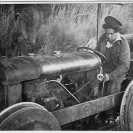 Working the log train