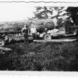 Logging at Katikati