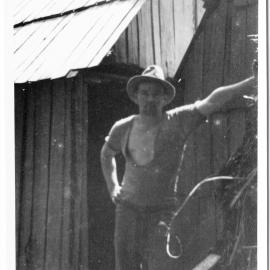 At Katikati Kauri Bush Camp
