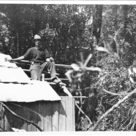 Katikati Kauri Bush Camp