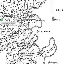 SETTLER McKINNEY, John A. Lot 60 Tahawai Settlement
