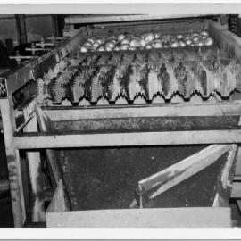 Spool grader 6