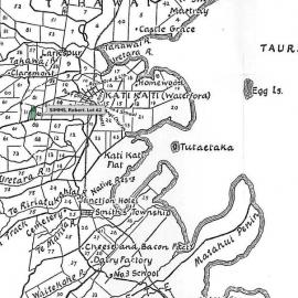 SETTLER SIMMS, Robert. Lot 62 Tahawai Settlement