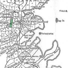 SETTLER EVERARD, James T. Lot 64 Tahawai Settlement